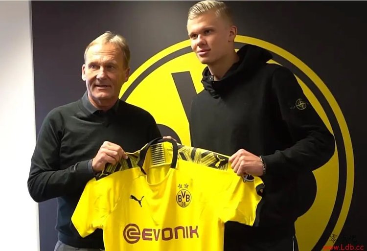 CBA：上海男篮主场大胜同曦